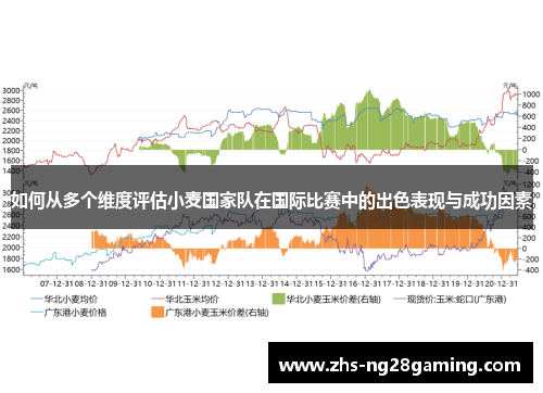 如何从多个维度评估小麦国家队在国际比赛中的出色表现与成功因素