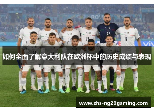 如何全面了解意大利队在欧洲杯中的历史成绩与表现