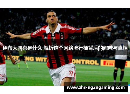 伊布大四喜是什么 解析这个网络流行梗背后的趣味与真相