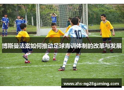 博斯曼法案如何推动足球青训体制的改革与发展