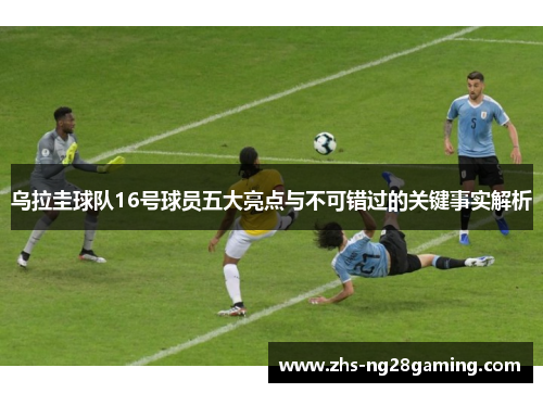 乌拉圭球队16号球员五大亮点与不可错过的关键事实解析