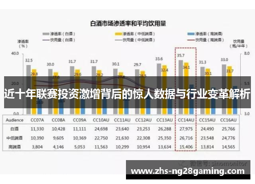 近十年联赛投资激增背后的惊人数据与行业变革解析