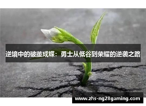 逆境中的破茧成蝶：勇士从低谷到荣耀的逆袭之路